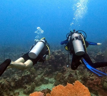 Divemaster professional training program in Bayahibe